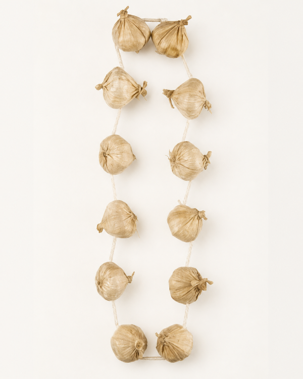 Collier d'Ail