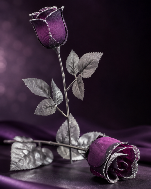 Rose Violette