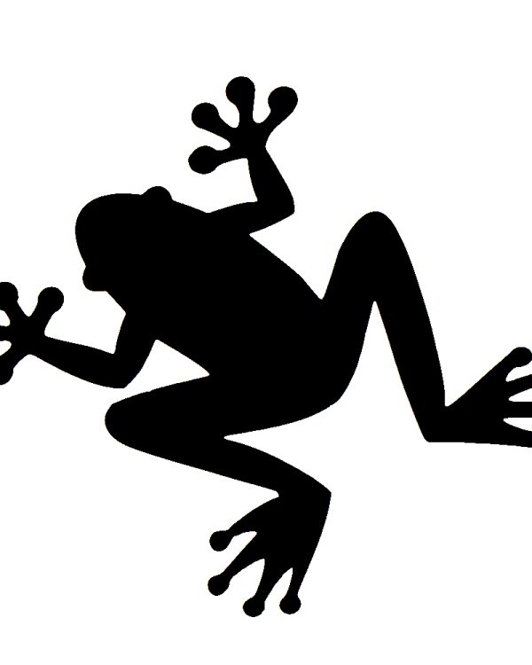 Pochoir Grenouille