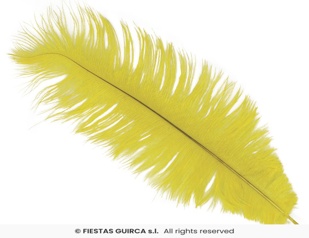 Plume d'Autruche 40cm – Image 3