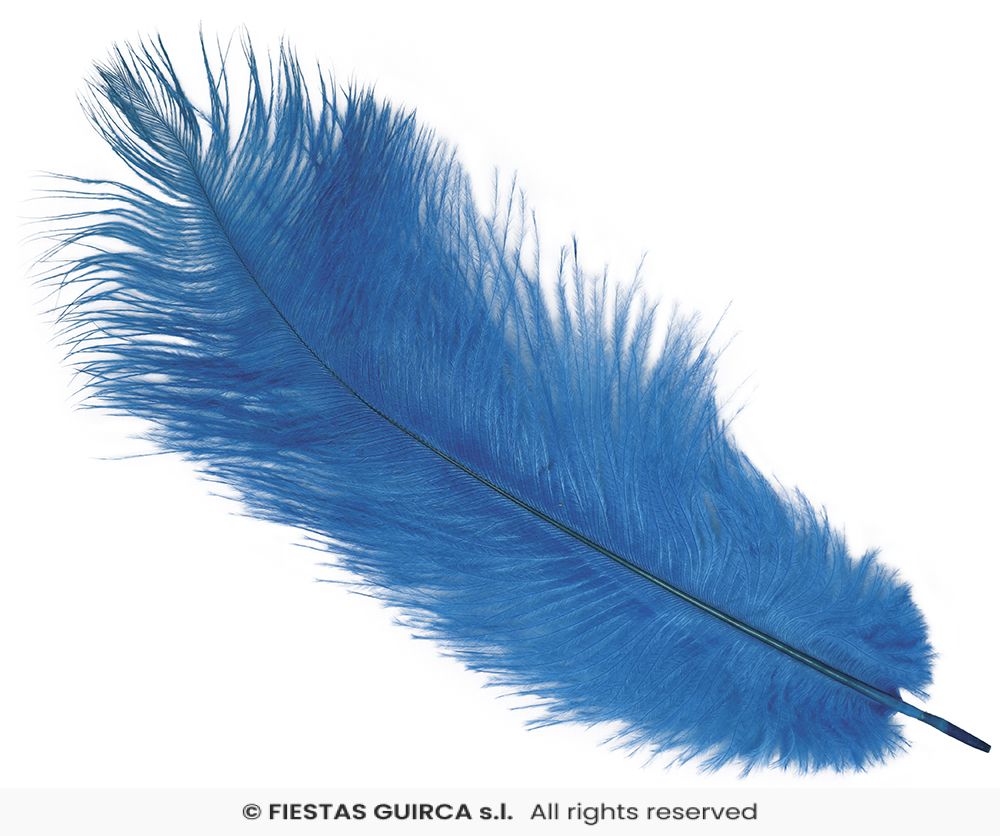 Plume d'Autruche 40cm – Image 8