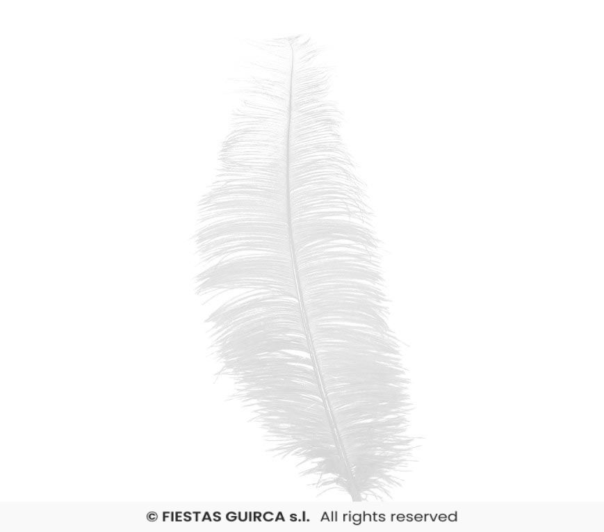 Plume d'Autruche 40cm – Image 2