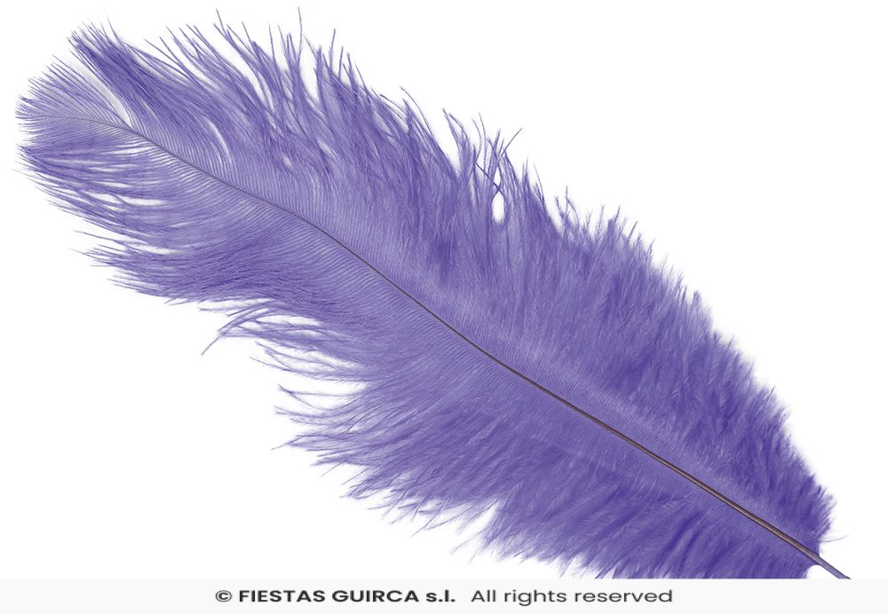 Plume d'Autruche 40cm – Image 6