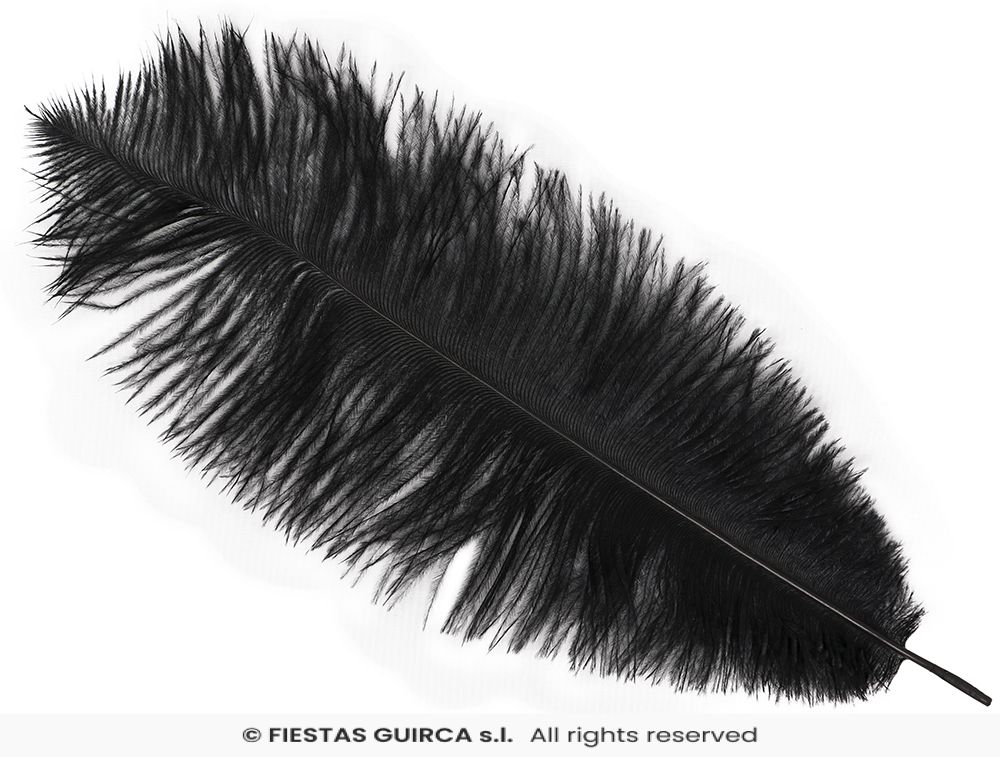 Plume d'Autruche 40cm – Image 9