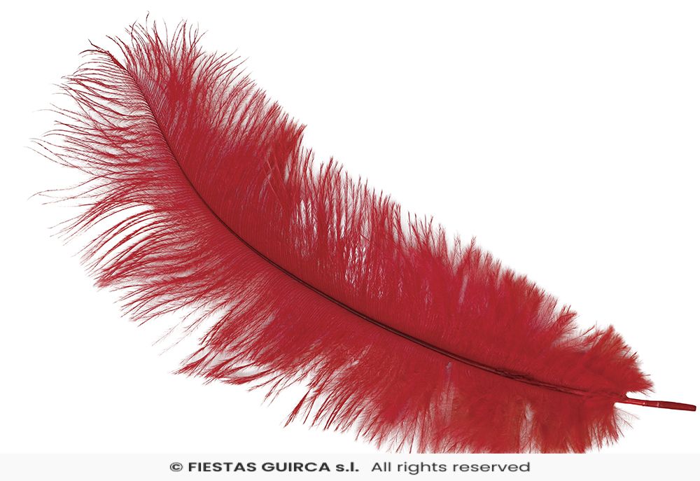 Plume d'Autruche 40cm – Image 4