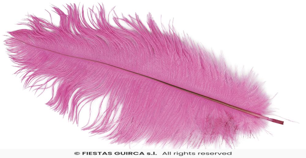 Plume d'Autruche 40cm – Image 5