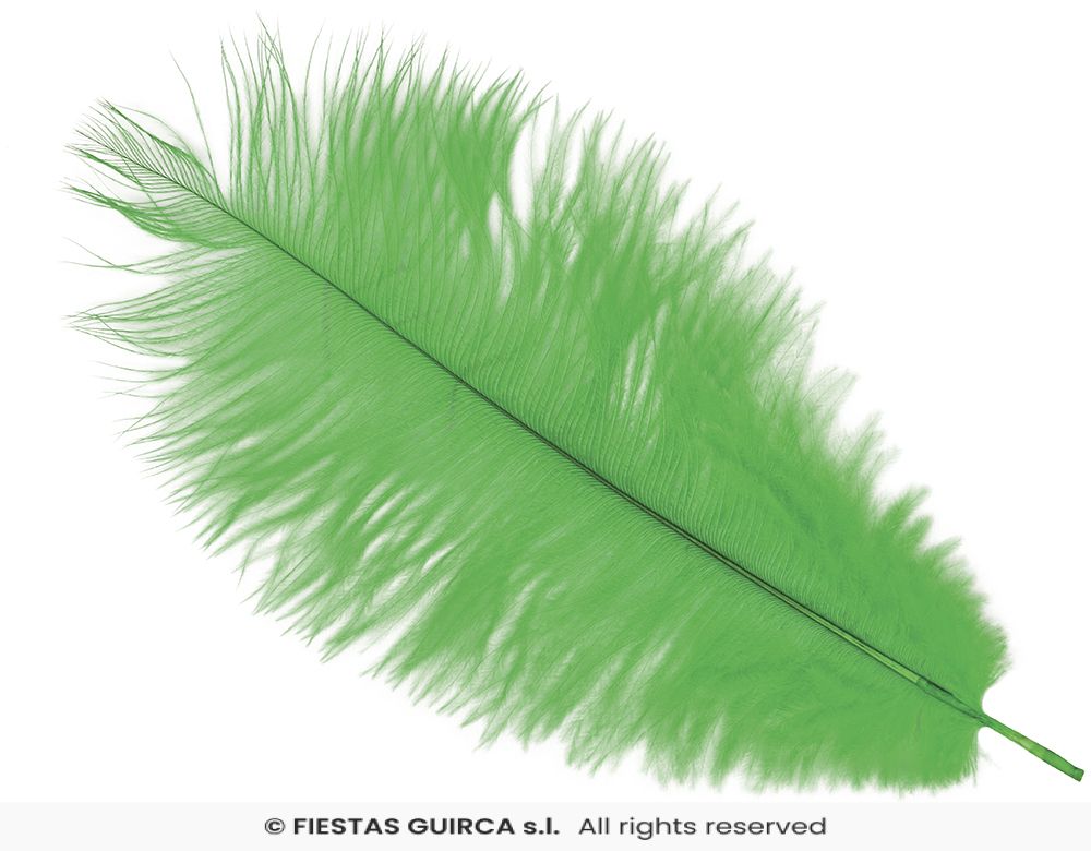 Plume d'Autruche 40cm – Image 7