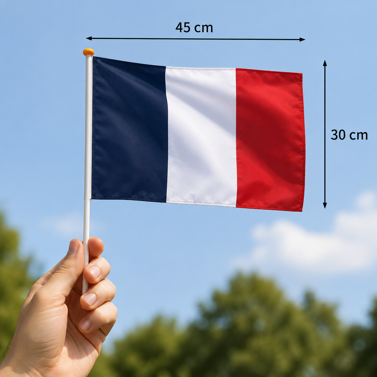Drapeaux sur Hampe – Image 2