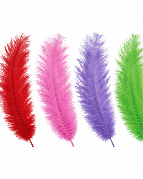 Plume d'Autruche 40cm