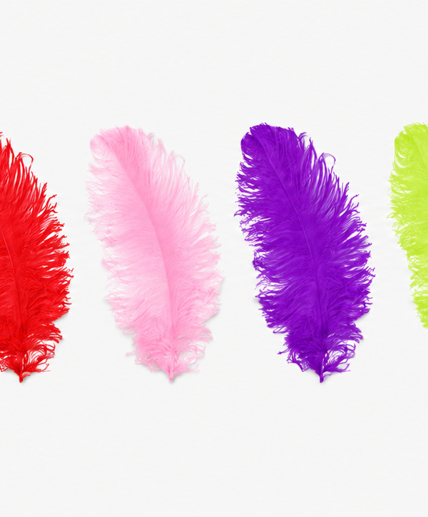 Plume d'Autruche de 55cm