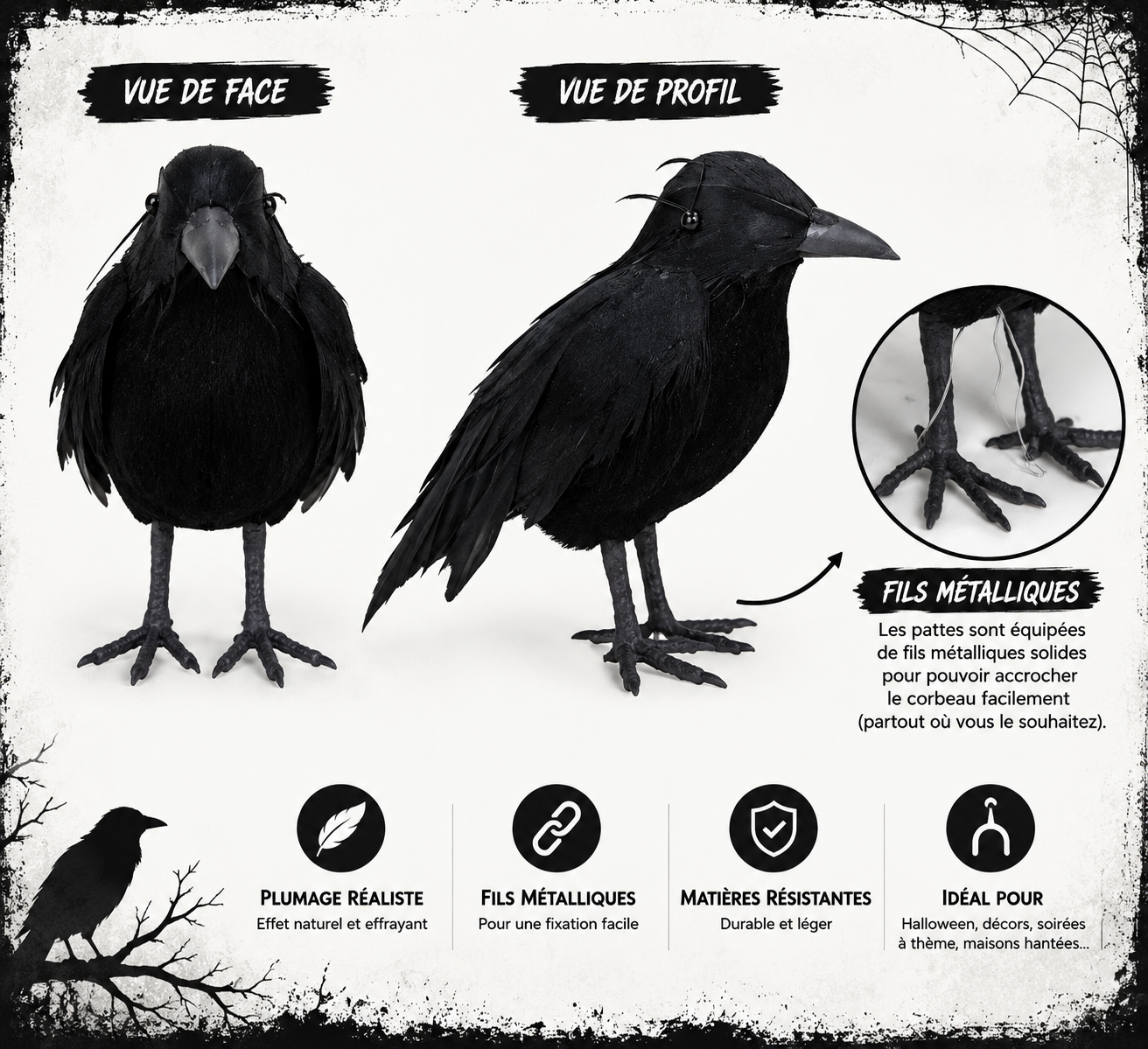 Corbeau